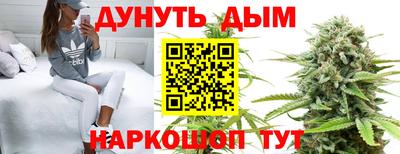 сатива Партизанск