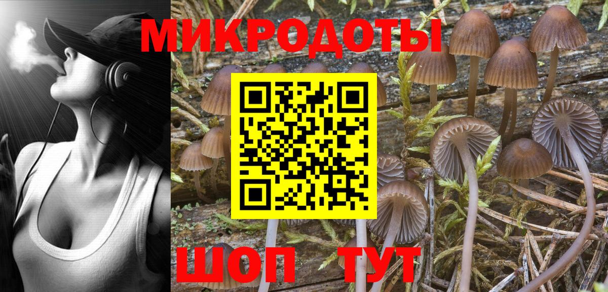 Псилоцибиновые грибы Psilocybine cubensis Спасск-Дальний